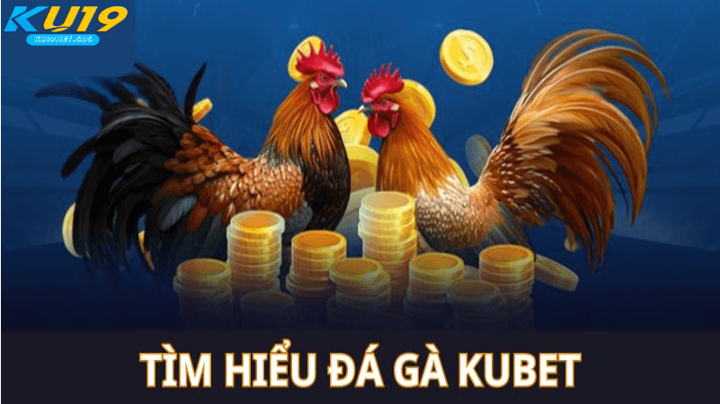 đá gà kubet